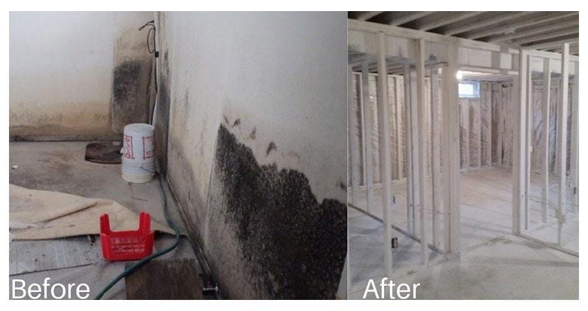 mold removal minneapolis